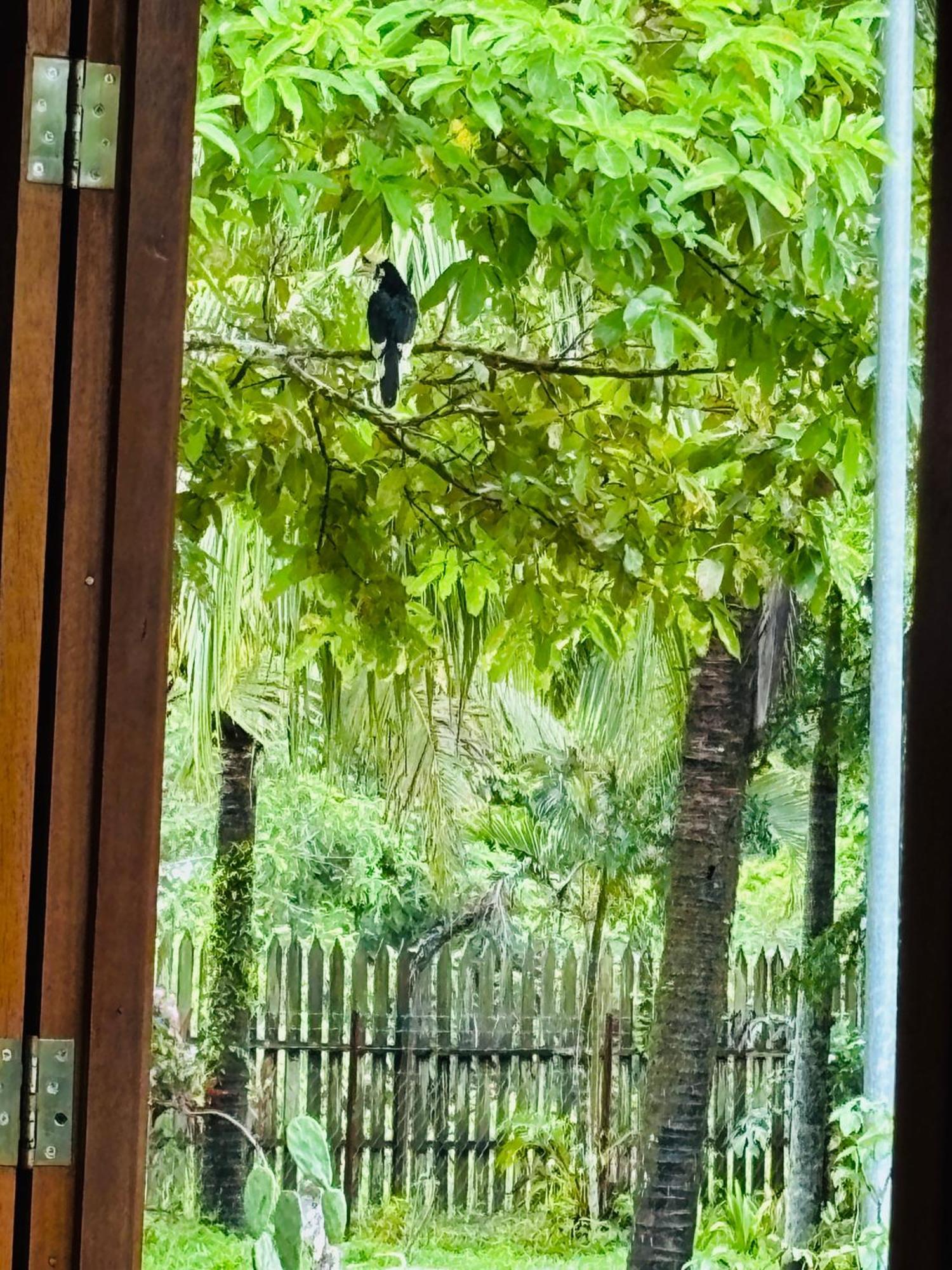 Padimas Villa @Datai Valley エクステリア 写真